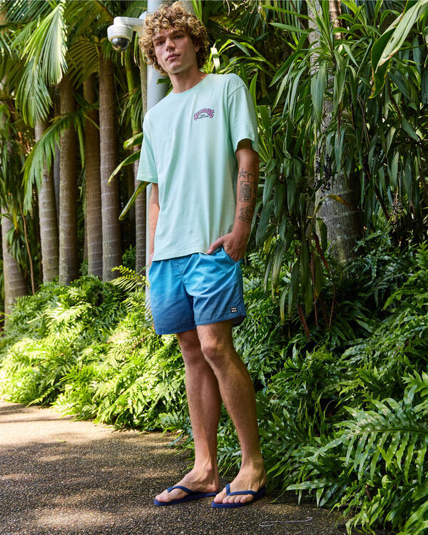 Billabong Sergio Layback Volley Board Shorts for Mens