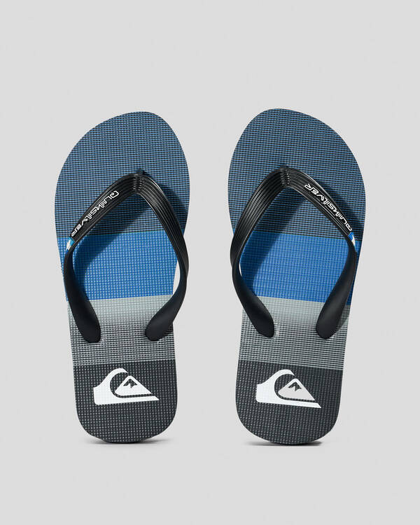 Quiksilver Boys' Molokai ART II Thongs for Mens