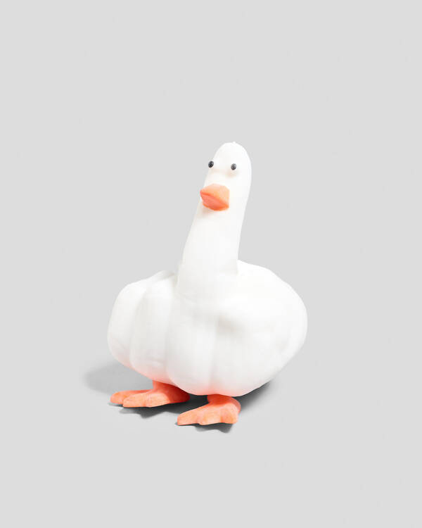 Get It Now Duck you Toy for Unisex