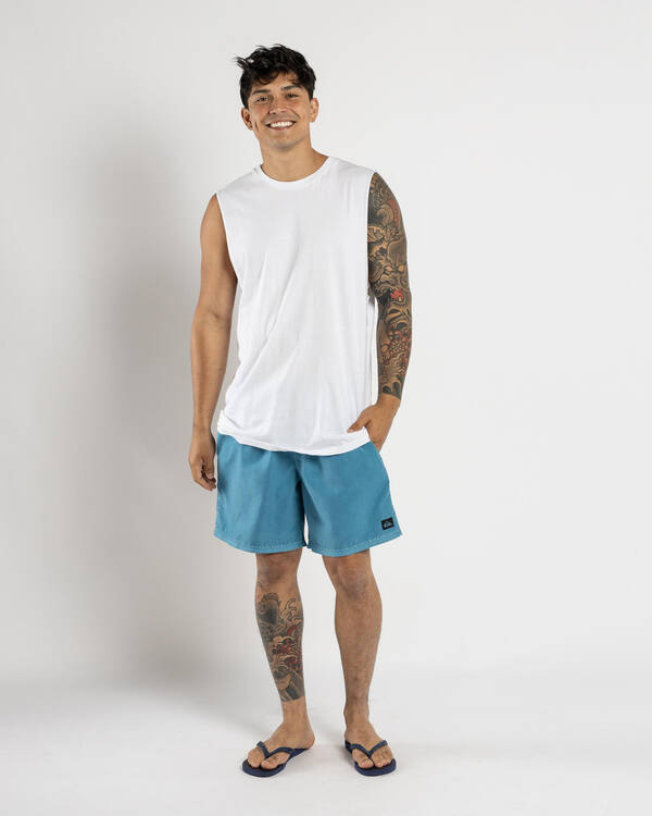 Quiksilver Everyday Surfwash Volley 17" Board Shorts for Mens