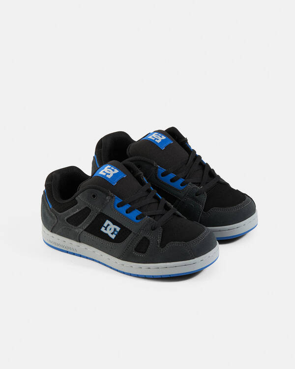 DC Shoes Boys' Stag Shoes for Mens