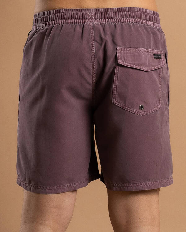 Quiksilver Everyday Surfwash Volley 17" Board Shorts for Mens