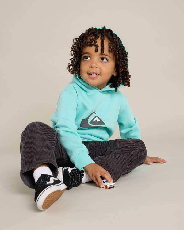 Quiksilver Toddlers' Big Logo Hoodie for Mens