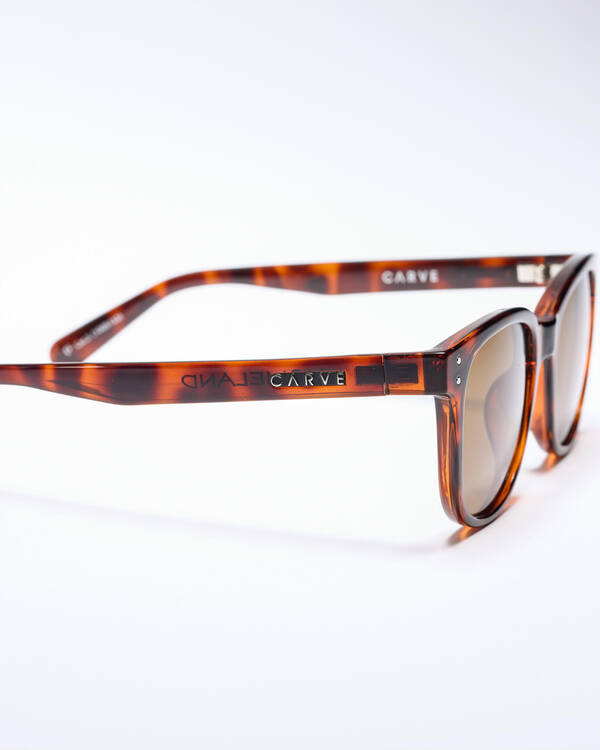 Carve Homeland Polarized Sunglasses for Mens