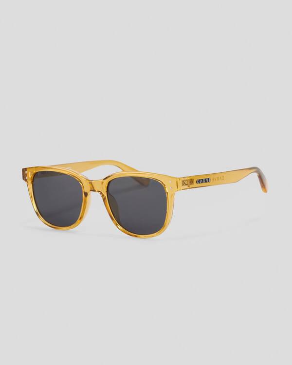 Carve Homeland Polarized Sunglasses for Mens