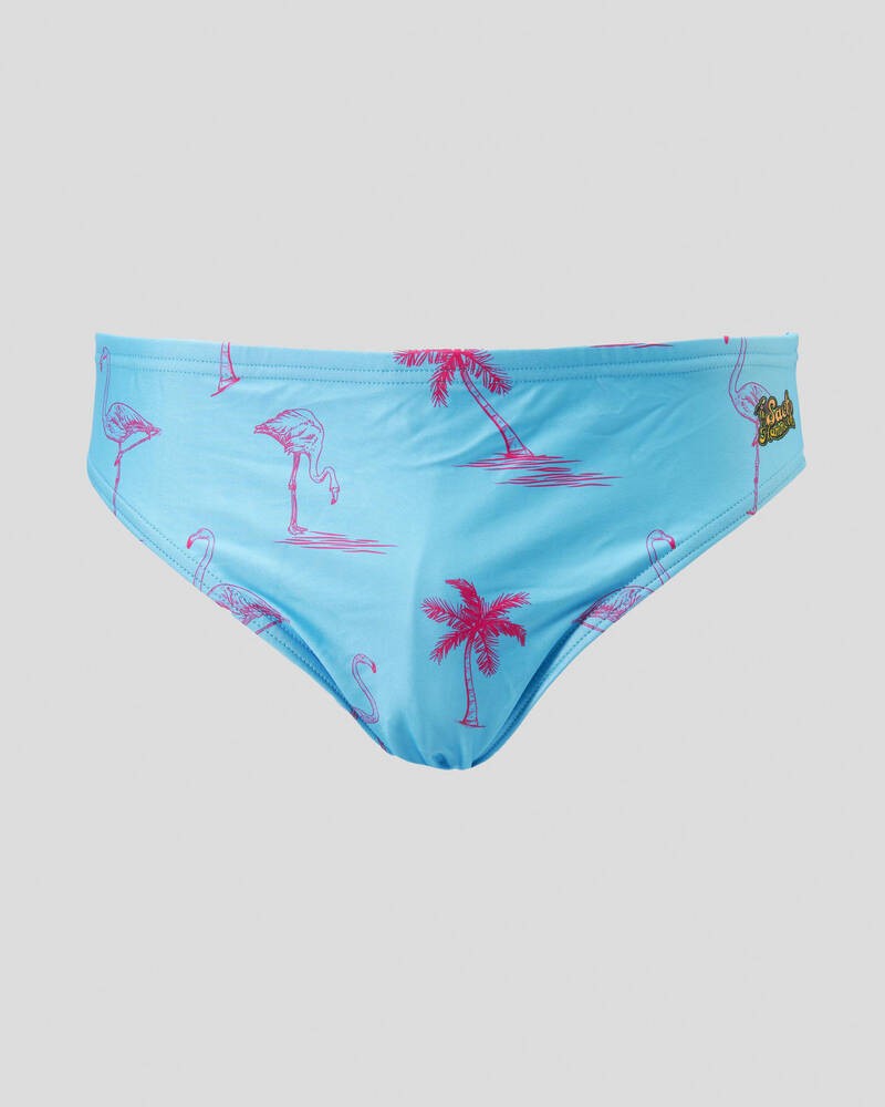 Sack Hammock Flamingo Swim Briefs for Mens