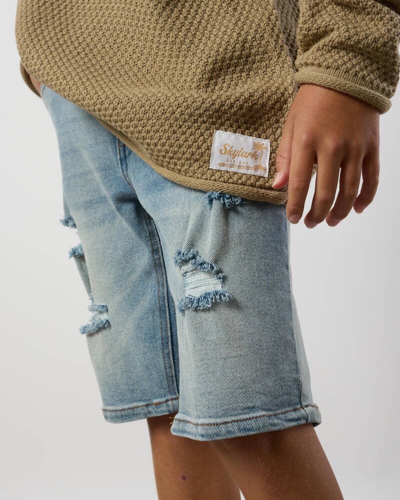 Skylark Boys' Brink Knit Jumper for Mens