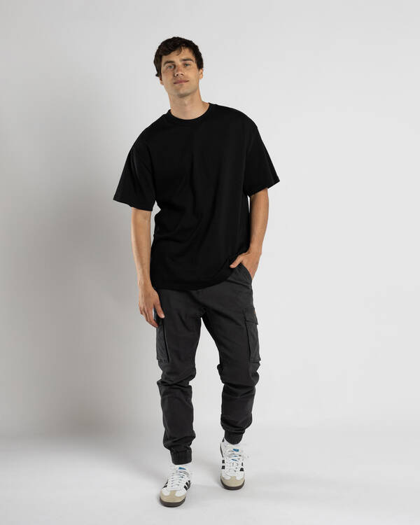 Skylark Distant Cargo Pants for Mens