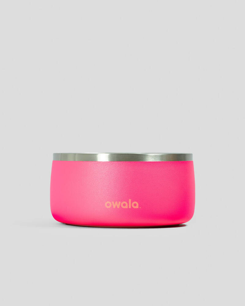 Owala 48oz Stainless Steel Pet Bowl for Unisex