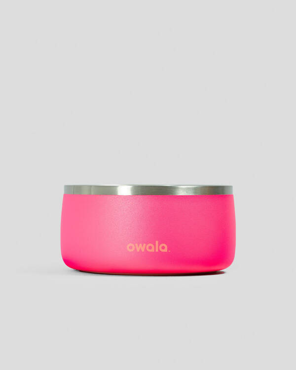 Owala 48oz Stainless Steel Pet Bowl for Unisex