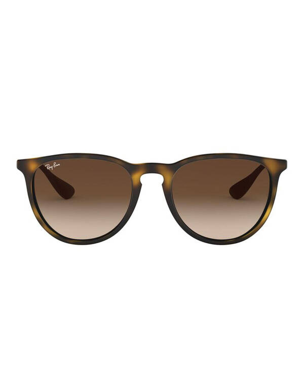 Erika Classic RB4171 Sunglasses
