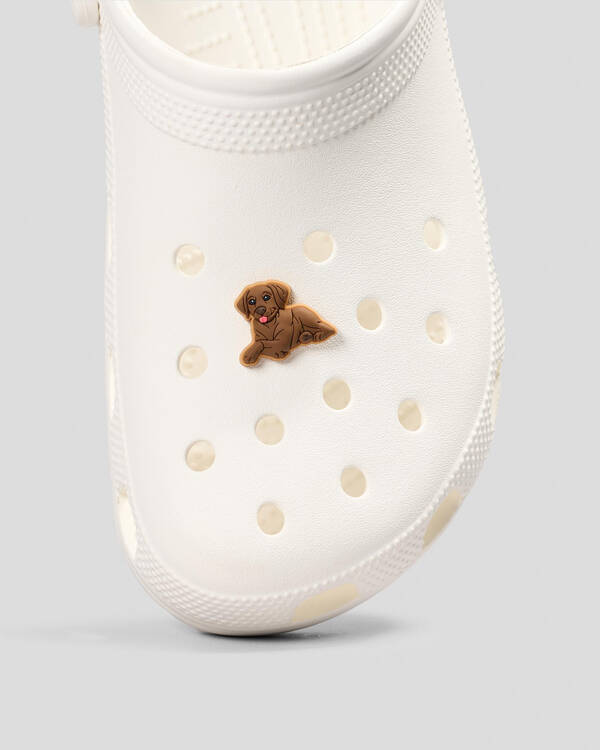 Crocs Brown Lab Puppy Jibbitz for Unisex
