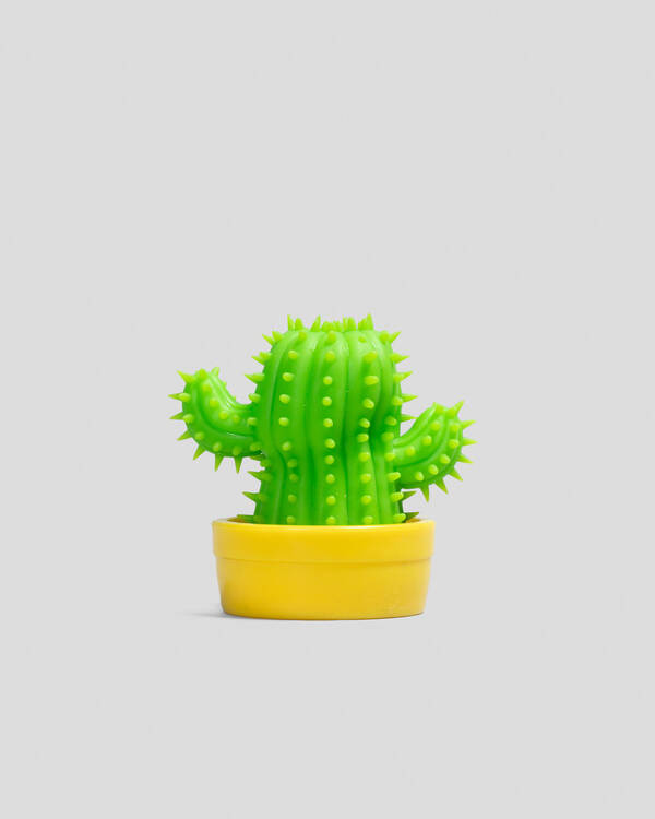 Scrunchems Stretchy Cactus for Unisex