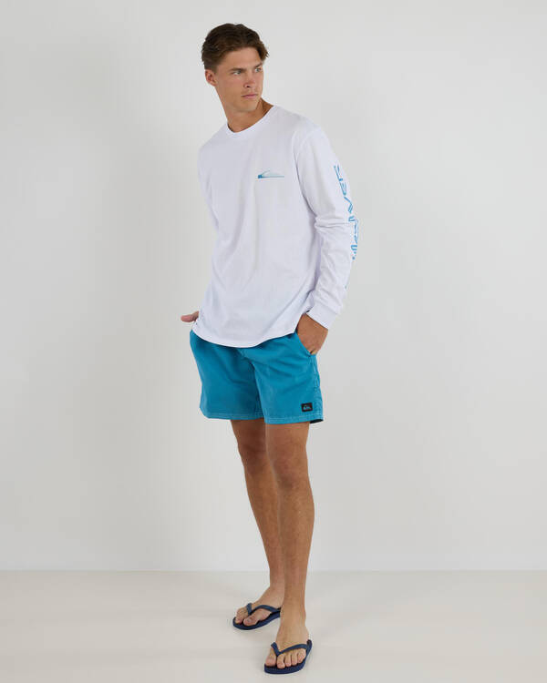 Quiksilver Everyday Surfwash Volley 17" Board Shorts for Mens