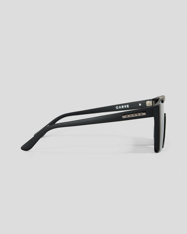 Carve Equinox Sunglasses for Mens