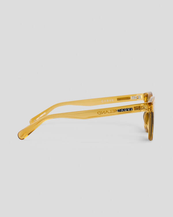 Carve Homeland Polarized Sunglasses for Mens