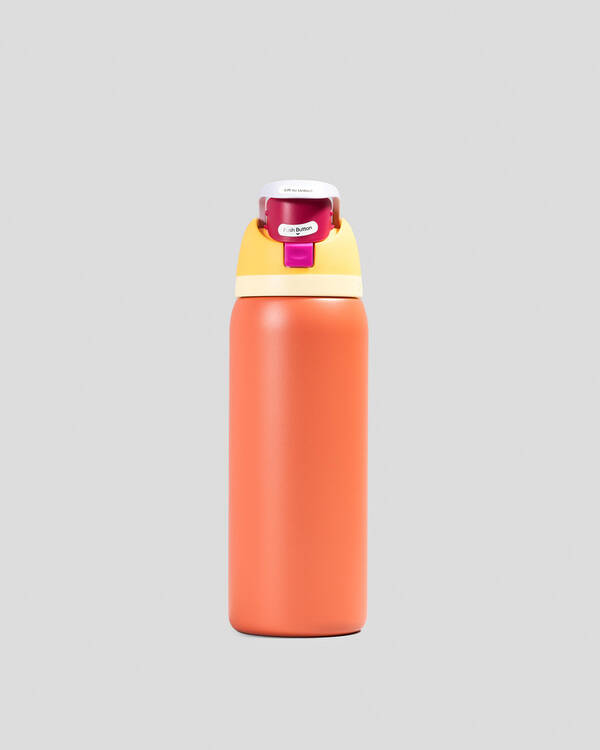 Owala 32oz FreeSip Stainless Steel Water Bottle for Unisex