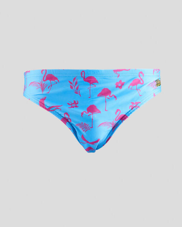 Sack Hammock Fiesta Swim Briefs for Mens
