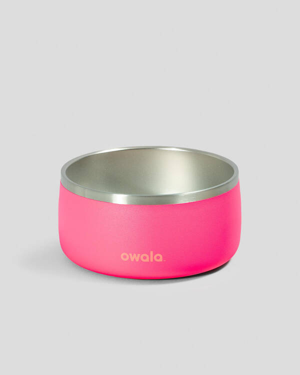 Owala 48oz Stainless Steel Pet Bowl for Unisex