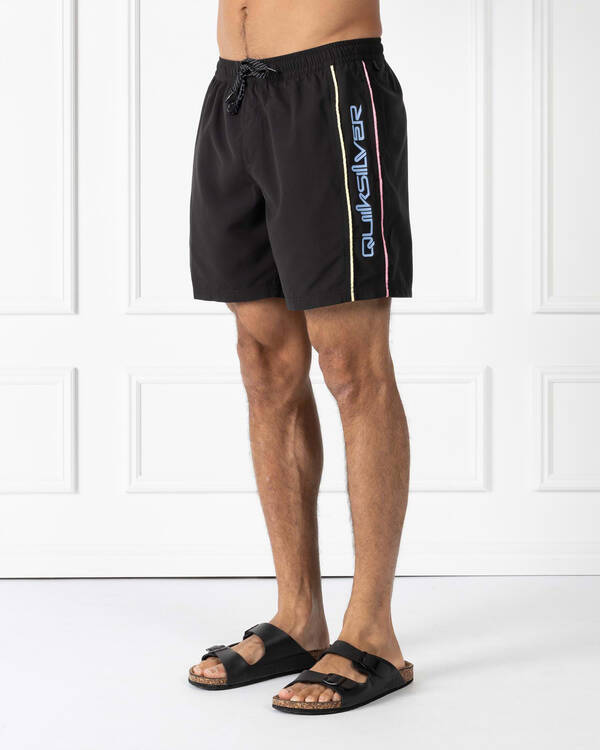 Quiksilver Everyday Vert Volley 2 17" Board Shorts for Mens