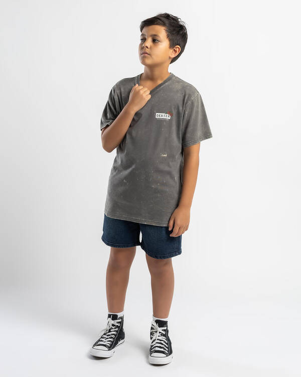 Dexter Boys' Hazard T-Shirt for Mens