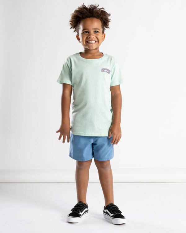 Billabong Toddlers' 73 Arch T-Shirt for Mens