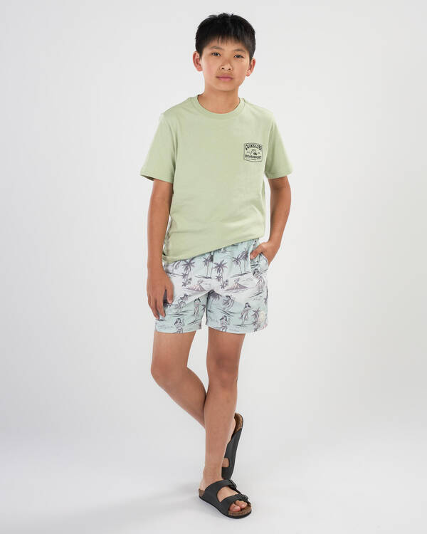 Quiksilver Boys' Originator T-Shirt for Mens