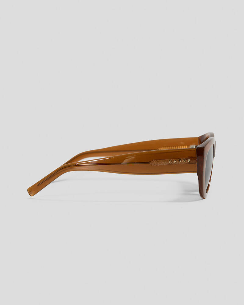 Carve Montana Sunglasses for Mens