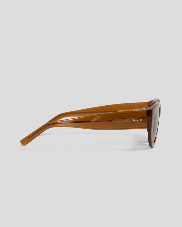 Carve Montana Sunglasses for Mens