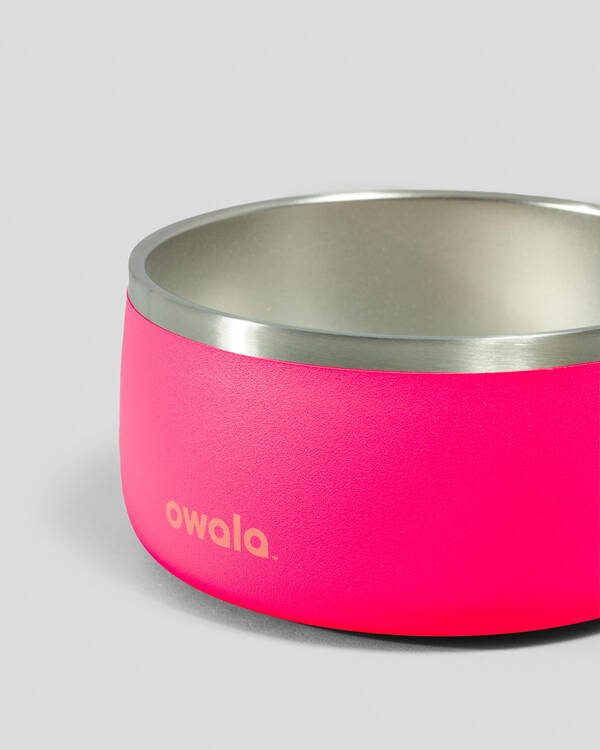 Owala 48oz Stainless Steel Pet Bowl for Unisex