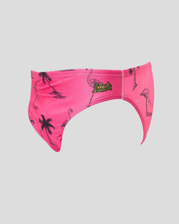 Sack Hammock Flamingo Swim Briefs for Mens
