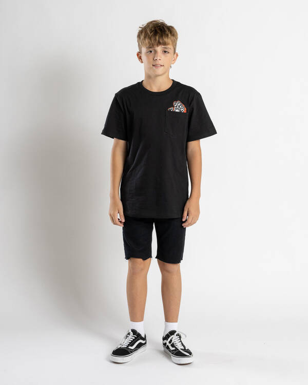 Santa Cruz Boys' Screaming Foam Hand Pocket T-Shirt for Mens