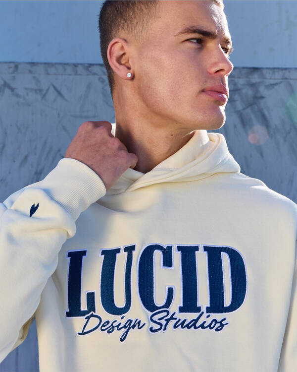 Lucid Demeanor Hoodie for Mens