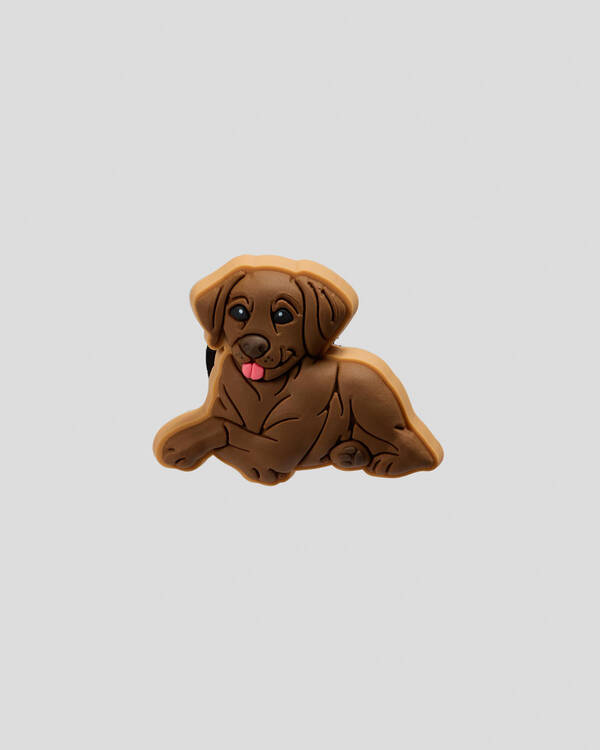 Crocs Brown Lab Puppy Jibbitz for Unisex
