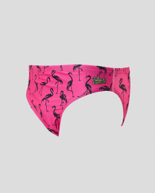 Sack Hammock Flamingos Swim Briefs for Mens