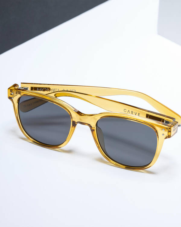 Carve Homeland Polarized Sunglasses for Mens