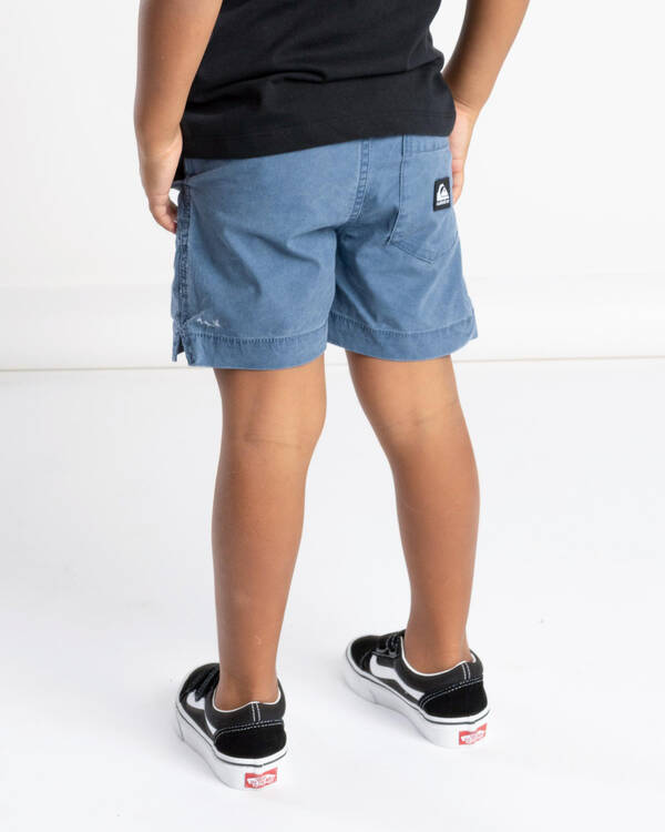 Quiksilver Toddlers' Taxer Shorts for Mens