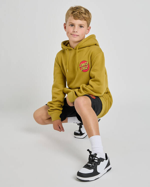 Santa Cruz Boys' Classic Dot Puff Chest Hoodie for Mens