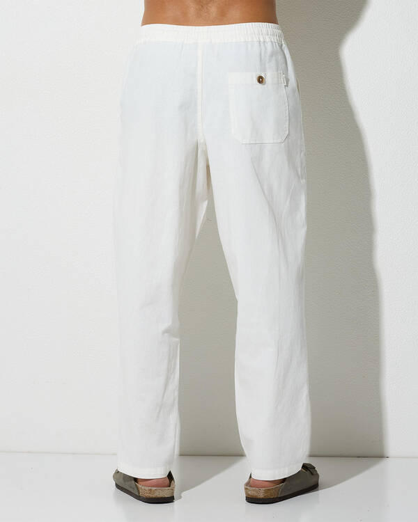 Skylark Hemp Blend Pants for Mens