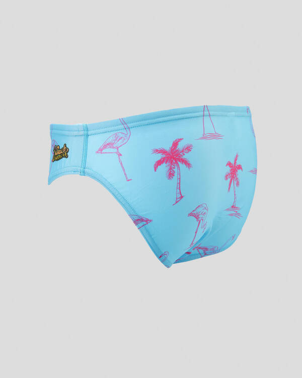 Sack Hammock Flamingo Swim Briefs for Mens