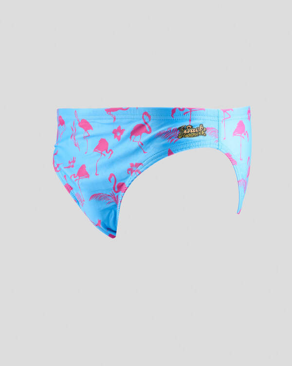 Sack Hammock Fiesta Swim Briefs for Mens