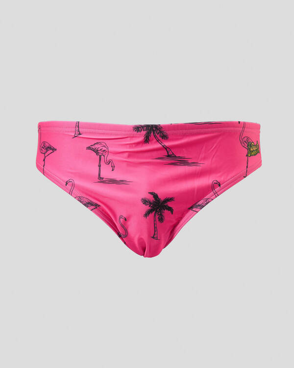 Sack Hammock Flamingo Swim Briefs for Mens