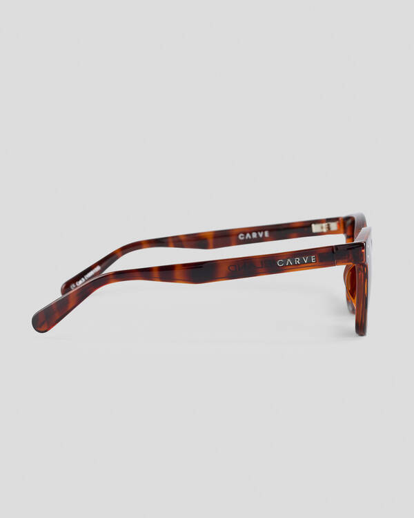 Carve Homeland Polarized Sunglasses for Mens