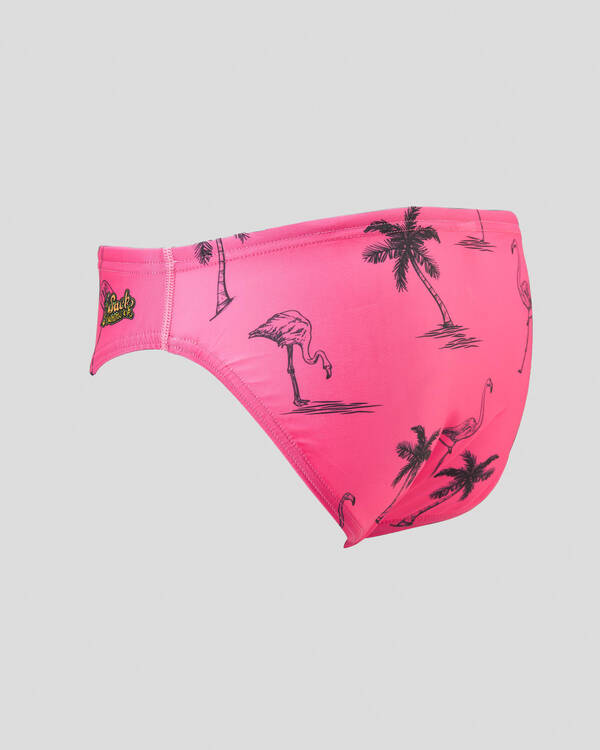 Sack Hammock Flamingo Swim Briefs for Mens