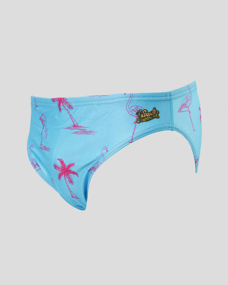 Sack Hammock Flamingo Swim Briefs for Mens