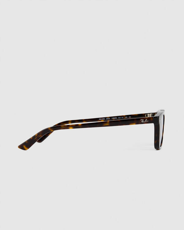 Ray-Ban Zaya Sunglasses for Unisex