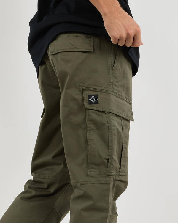 Skylark Adapt Cargo Pants for Mens