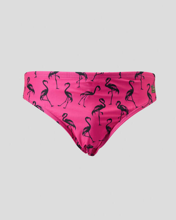 Sack Hammock Flamingos Swim Briefs for Mens