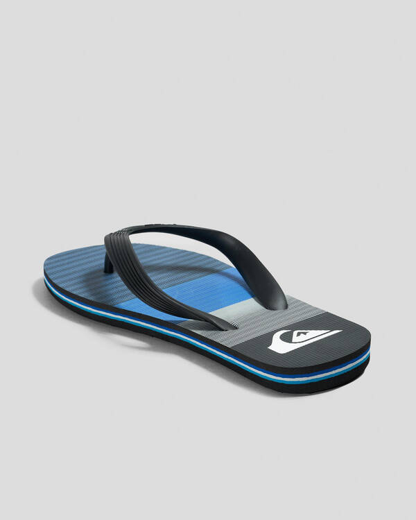 Quiksilver Boys' Molokai ART II Thongs for Mens