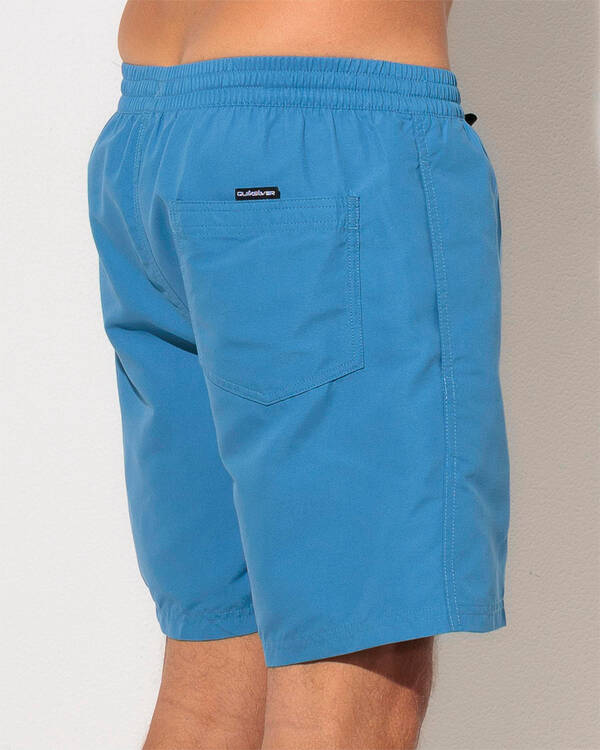 Quiksilver Everyday Vert Volley 17" Board Shorts for Mens